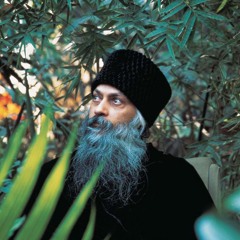 Sangeet - All Knowledge Is Useless