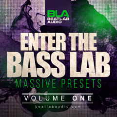 Beatlab Audio - Enter The Bass Lab - (Massive Presets)