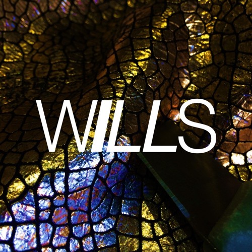 WILLS - Going Through It