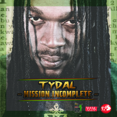Silent Warrior - Tydal [Master One Ent / VPAL Music 2014]