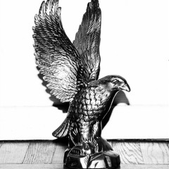 Bring the wild to life