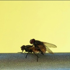 Luomo - What good (RMX by Dashcraft)