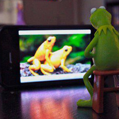 Wet Dreams Are Made Of...