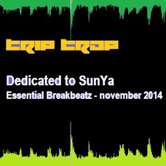 TripTrap (Cubex) - Dedicated To SunYa - B-Day mix Nov 2014 (free download)
