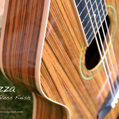 Brazza slide guitar by Twisted Wood Guitars
