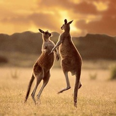 LeavingHome - b2b Silence.kls & Ben Loco