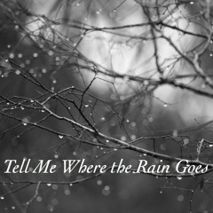 Tell Me Where The Rain Goes ["A Step Into My Mind" PREVIEW] - DSchro