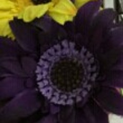 تقول الله يطعني - بصوتي