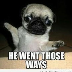 WHERE HE GO?!?(A-WALL)