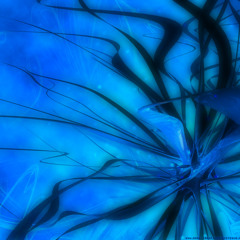 Broken myself feat. Alexandra Lea