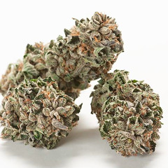 GC - Insomnaic (Prod. Rich Beatz)