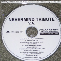 LOW IQ 01 - In Bloom (Nevermind Tribute)