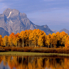Jackson Hole