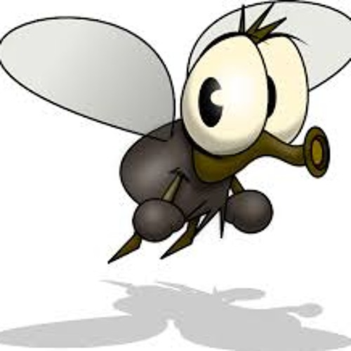 Shoe Fly RMX