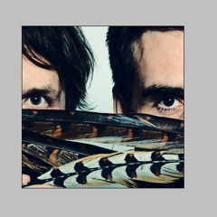 Birds & Souls - Birds & Souls
