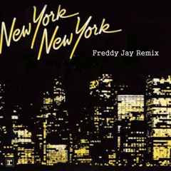 Franck Sinatra - New York New York (Freddy's Jay's booty remix)