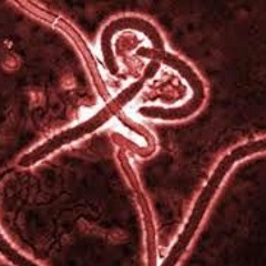 Ebola