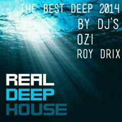 The Best Deep 2014 By DJ Ozi & Roy Drix