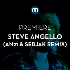 Premiere: Steve Angello 'Wasted Love' (AN21 & Sebjak remix)