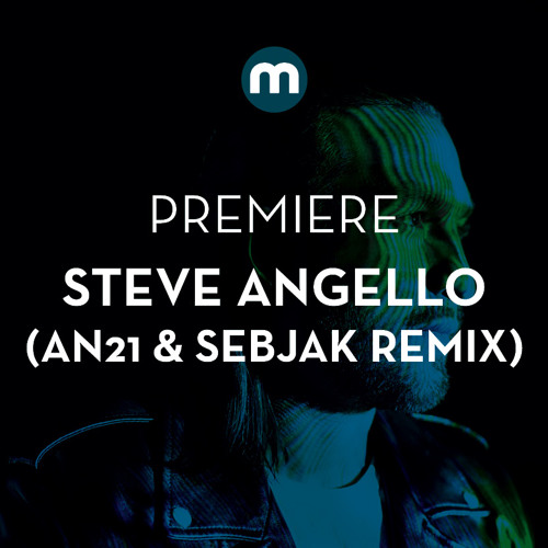 Premiere: Steve Angello 'Wasted Love' (AN21 & Sebjak remix)