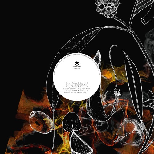 Chaty, Tamez & Gabriel I - Hidden Desire (Kiki Remix) [snippet]