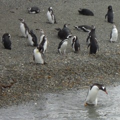 15 Alles anders, alles gleich