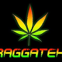 Raggacid (Raggatek - Acid)