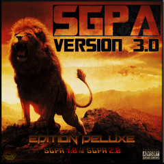 Si On Est Pas La Y'a Wellou