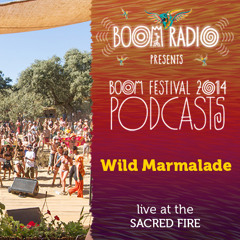 Wild Marmalade - Sacred Fire 01 - Boom Festival 2014