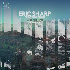 Eric Sharp - We Own The Nite (Hernene Remix)