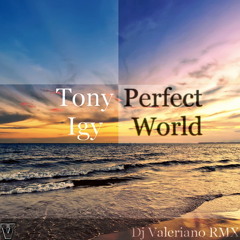 Tony Igy - Perfect World (Dj Valeriano Remix)