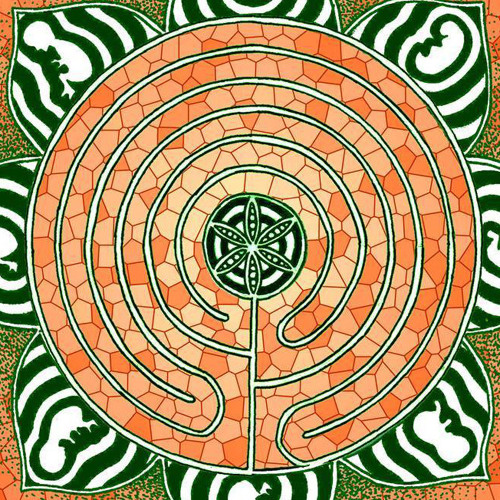 2017 Slow psychedelics 4796