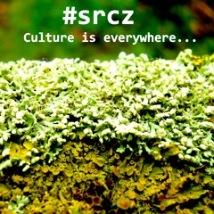 #SRCZ MixTape// Open Submisssion (November 2014)