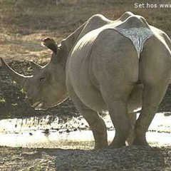 T'es tendu !.. jte dit t'es tendu !