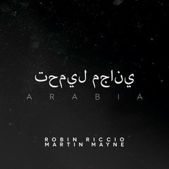 Robin Riccio & Martin Mayne - Arabia (Original Mix)