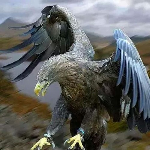 Stream Siempre me verán solito como anda el águila real. by Beatriz Garcia  61 | Listen online for free on SoundCloud