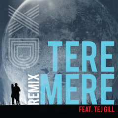 XD Pro Music x Tej Gill - Tere Mere