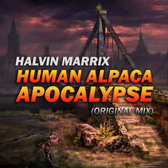 Halvin Marrix - Human Alpaca Apocalypse (Original Mix) [FREE DOWNLOAD IN DESCRIPTION]