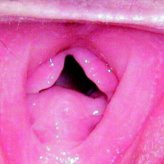 Stream One Little Porn music | Listen to songs, albums, playlists ...