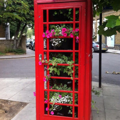 A Telephone Box In Summer - ADEDRY