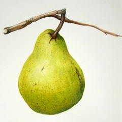 Pear (ft. Dollaverio)
