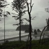 Fog Rolls In