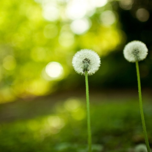 Aural Imbalance - Into The Light (Okee Remix )