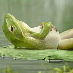 Chill