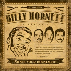 BILLY HORNET - Car Wash
