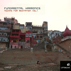 Mantra Blossom - Techno for Meditation Vol.1 - LPK012 Preview