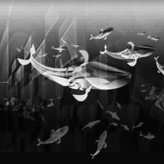 Amitabha Whales(Whales that swim the sky)