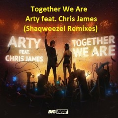 Arty feat. Chris James - Together We Are (Shaqweezel Instrumental Rework)