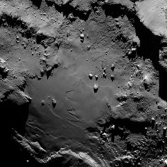 Rosetta's Friday Top 10 (14/11/2014)