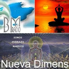 la nueva dimension MUSICA TALLER DE SANACION O MEDITACION por jordy ruiz